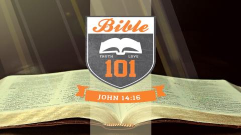 Bible 101 a Study of Colossians