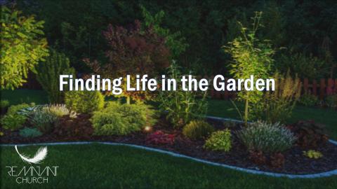 Finding Life in the Garden